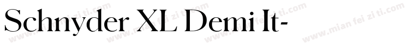 Schnyder XL Demi It字体转换